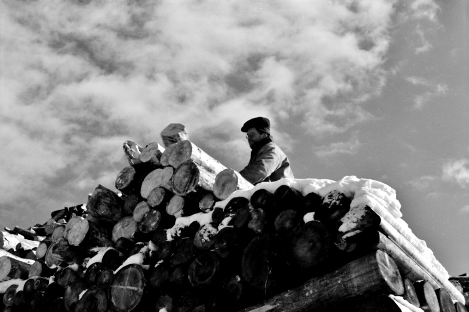 Top of the Heap: Pulpwood pile in Groveton, New Hampshire. February 1936.