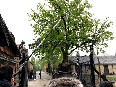 Auschwitz, Polonia photo