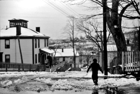 Youth in Winter: Street in Norwich, Connecticut. November 1940.