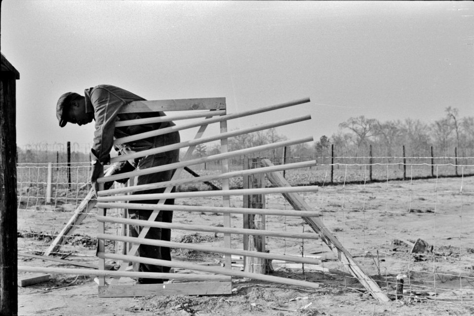 A FSA (Farm Security Administration) borrower building a new gate for his yard. Prairie Farms, Montgomery, Alabama, 1939.