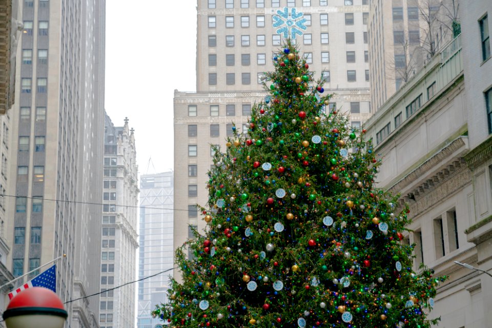 NYSE Tree, Daytime, with light snow