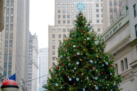 NYSE Tree, Daytime, with light snow