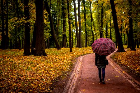 Woman with umbrella in the autumn park photo