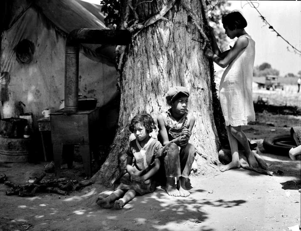 Adrift: Motherless migrant children. They work in the cotton. June 1935.