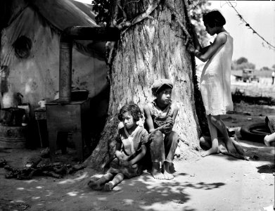 Adrift: Motherless migrant children. They work in the cotton. June 1935.