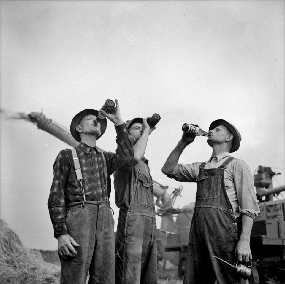 Bottoms Up: Farmers drinking beer during a hard day's work. Jackson, Michigan, Fall 1941.
