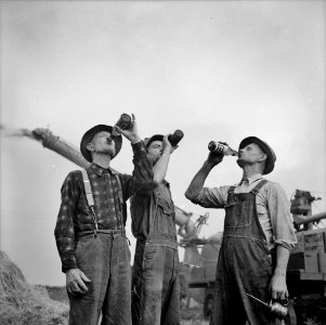 Bottoms Up: Farmers drinking beer during a hard day's work. Jackson, Michigan, Fall 1941.