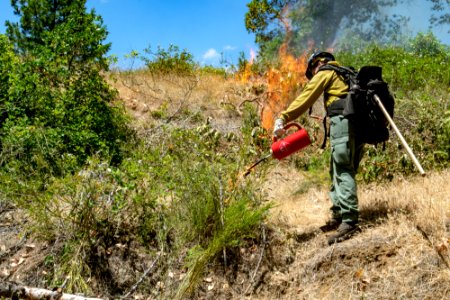 20190625 Prescribed Fire Tller 25.jpg photo