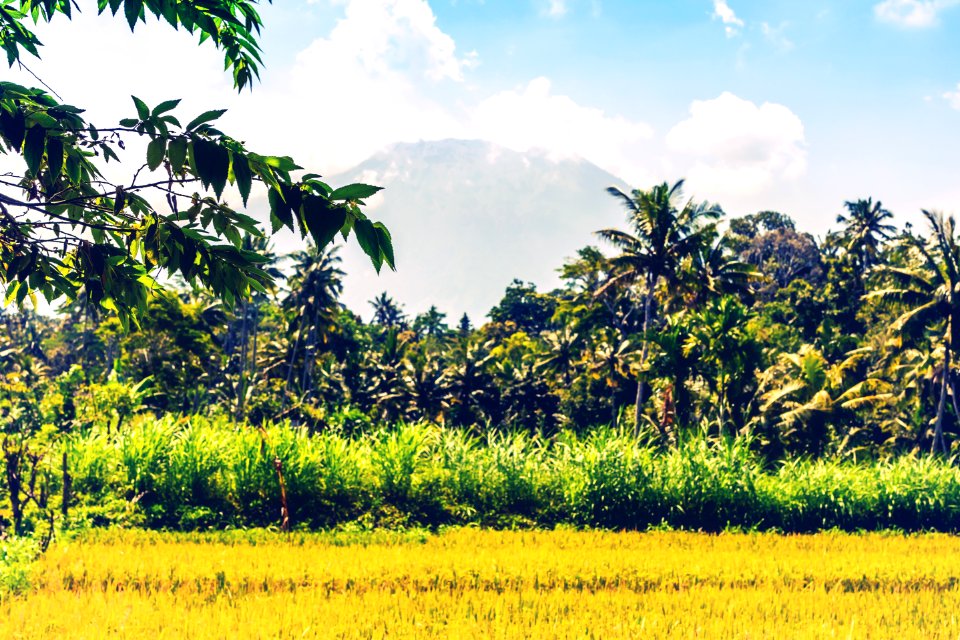 Beautiful green landscape of mount volcano Agung on Bali island.