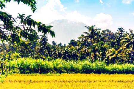 Beautiful green landscape of mount volcano Agung on Bali island.