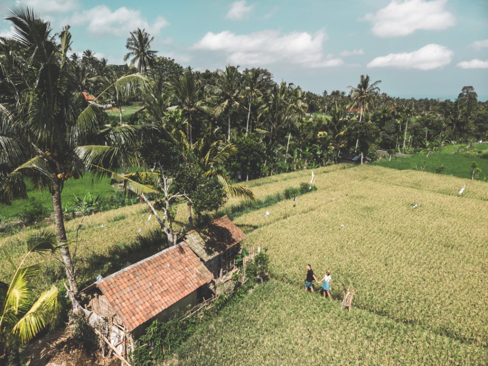 Young couple of man and woman on a rice field, Bali vacation concept. Indonesia.