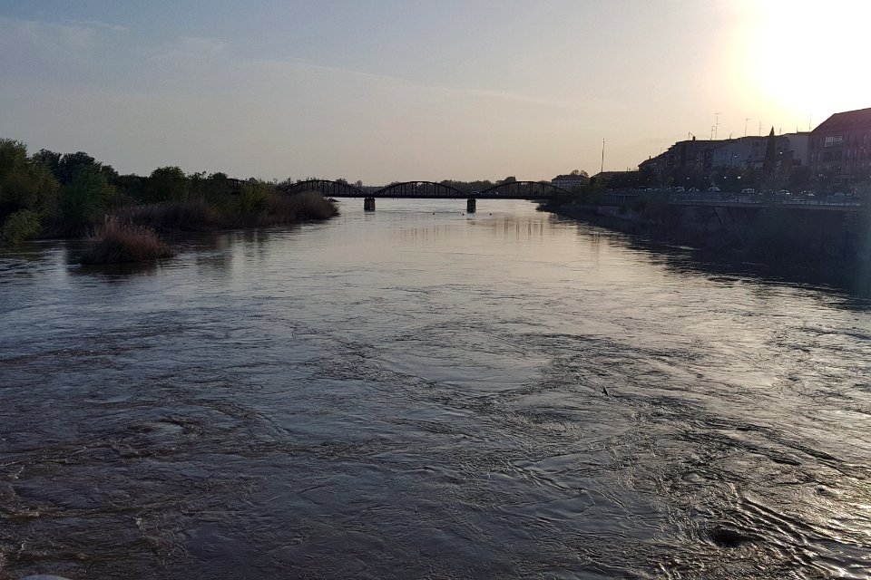 día 2. agua (textura)