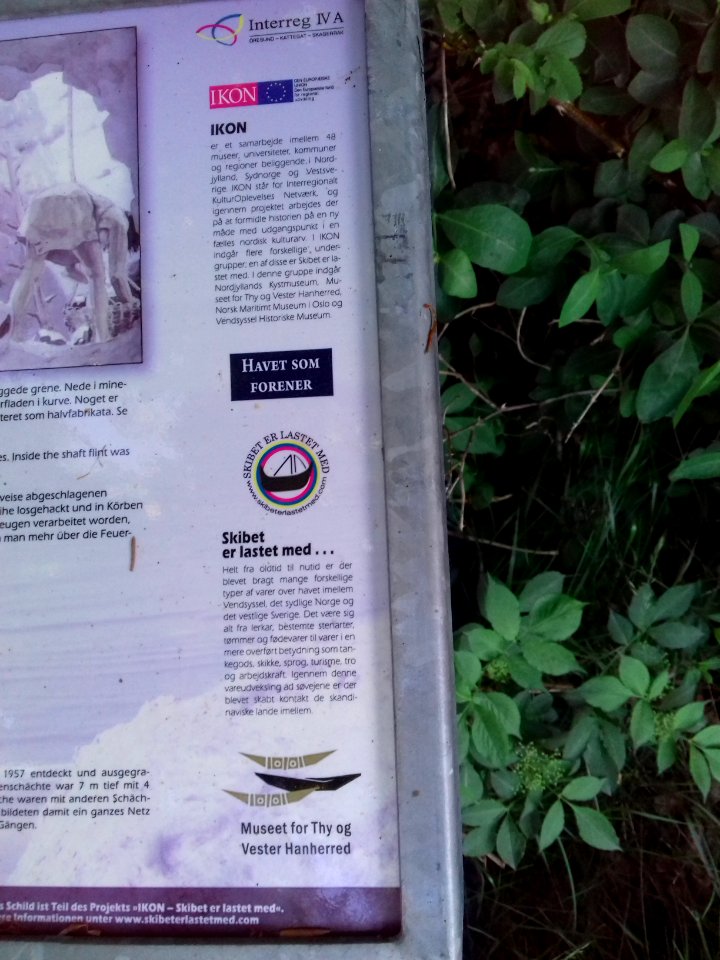 hov daas denmark  (12)