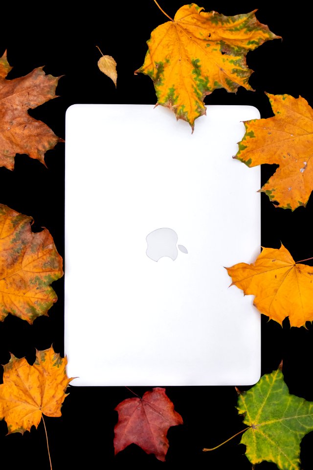 Colorful Autumn leaves and laptop on a black background. Top view of work space in the fall.