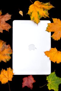 Colorful Autumn leaves and laptop on a black background. Top view of work space in the fall. photo