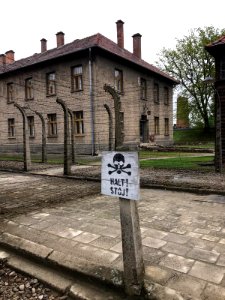 Auschwitz, Polonia photo