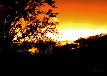 firey sunset