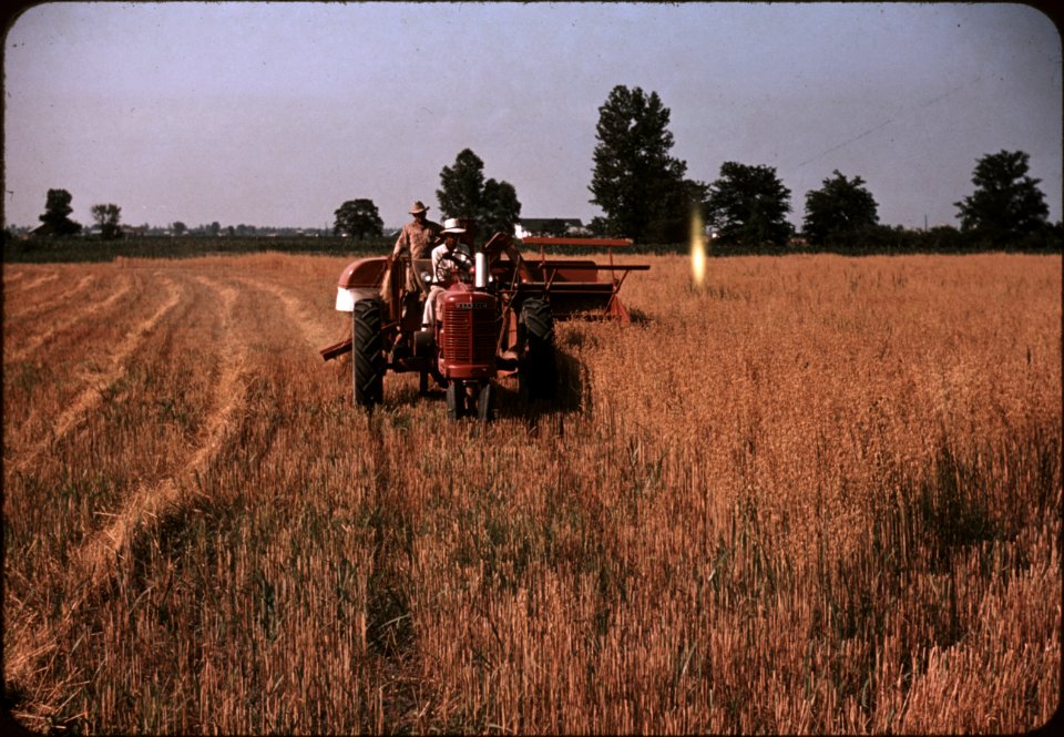 Harvesting oats in southeastern Georgia. April 1940.