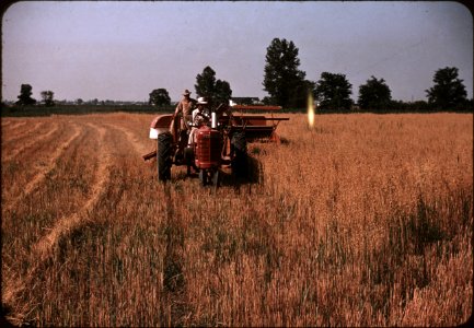Harvesting oats in southeastern Georgia. April 1940.