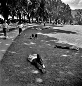 Sunday Snooze: Ellipse Park in Washington, D.C. on a hot Sunday June 1942.