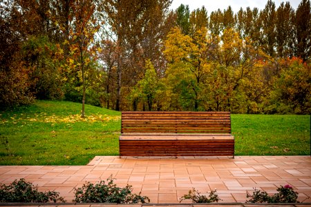 A bench in the fall park photo