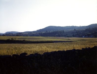 Farmland along the upper Delaware River in New York state. June 1943.