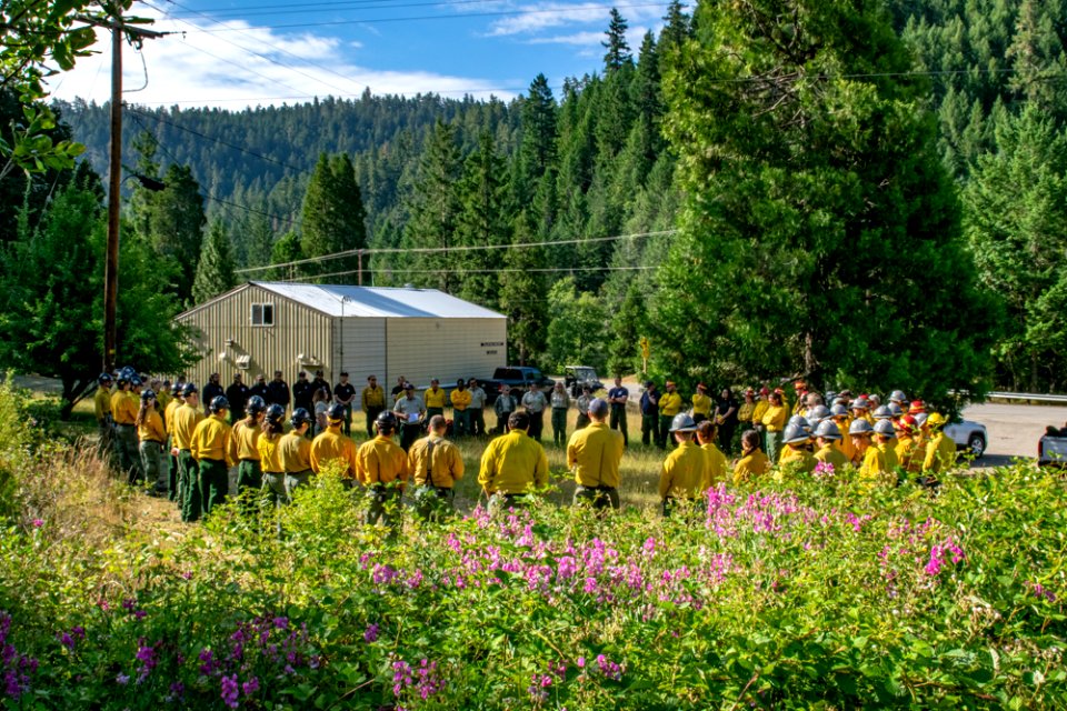 20190625 Prescribed Fire Tller 202.jpg