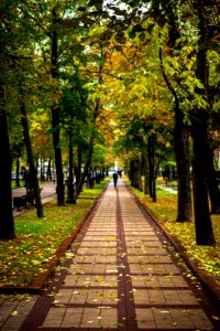 Fall park in Moscow photo