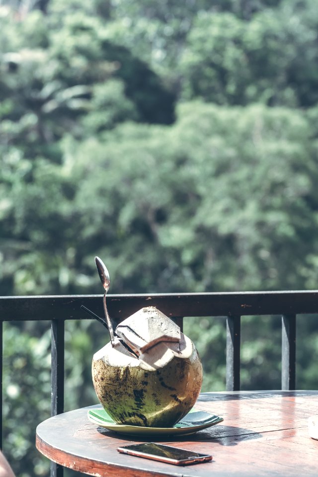 Young fresh organic coconut on a waterfall background in the jungle of Bali island.