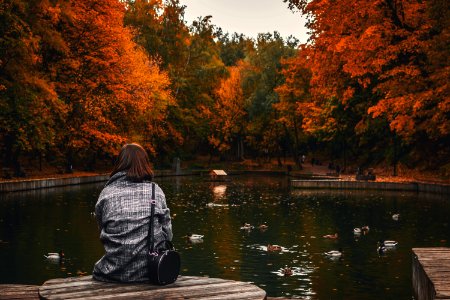 Back view of woman sitting on old wooden pier over calm pond in the park. photo