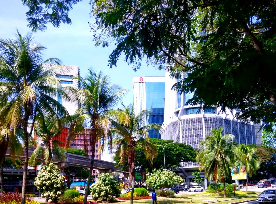 Palm trees near Pasar Seni