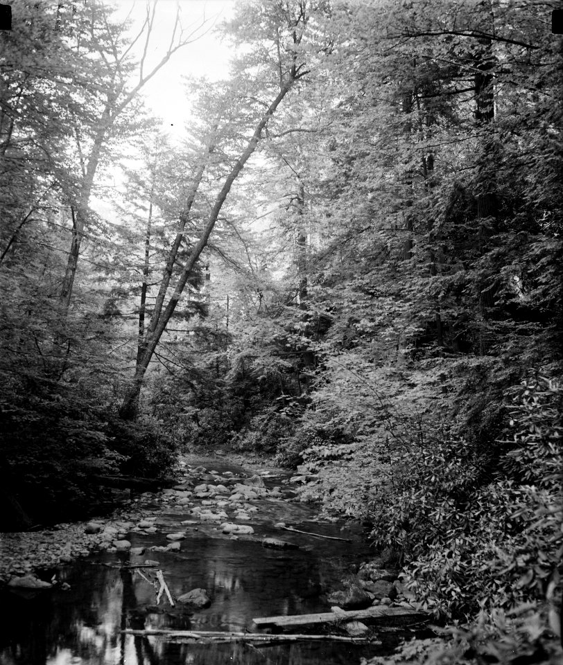 Buck Hill Falls, Pennsylvania, July 1936.