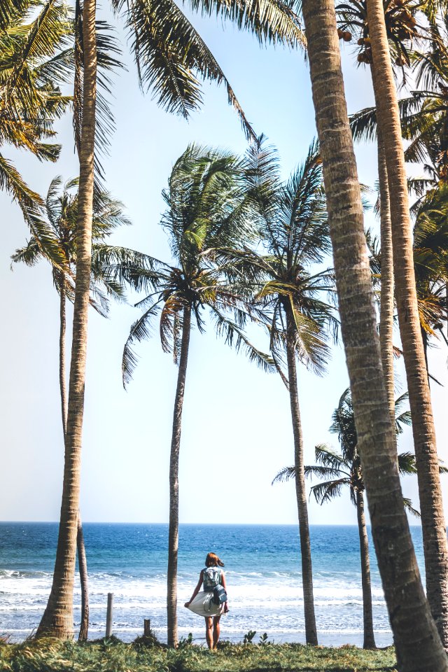 Young woman among palms trees. Bali island.