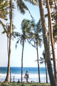Young woman among palms trees. Bali island.