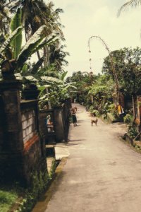 Street, Bali island