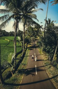 Aerial shot of young couple walking among coconut palm trees. Bali island. photo