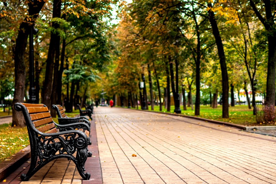 A bench in the fall park.
