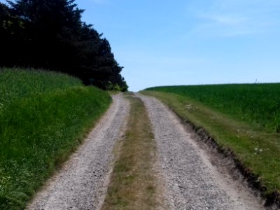hov daas thisted prehistoric site daashuset hov denmark  (18)