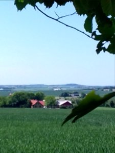 hov daas thisted prehistoric site daashuset hov denmark  (24)