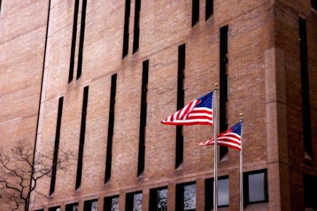 4 New York Plaza and American Flags photo
