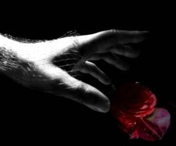 Hands - Contrast in colours