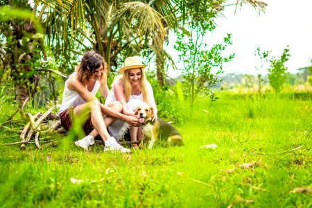 Young happy couple playing with cute and active beagle dog in nature. Tropical island of Bali, Indonesia. photo