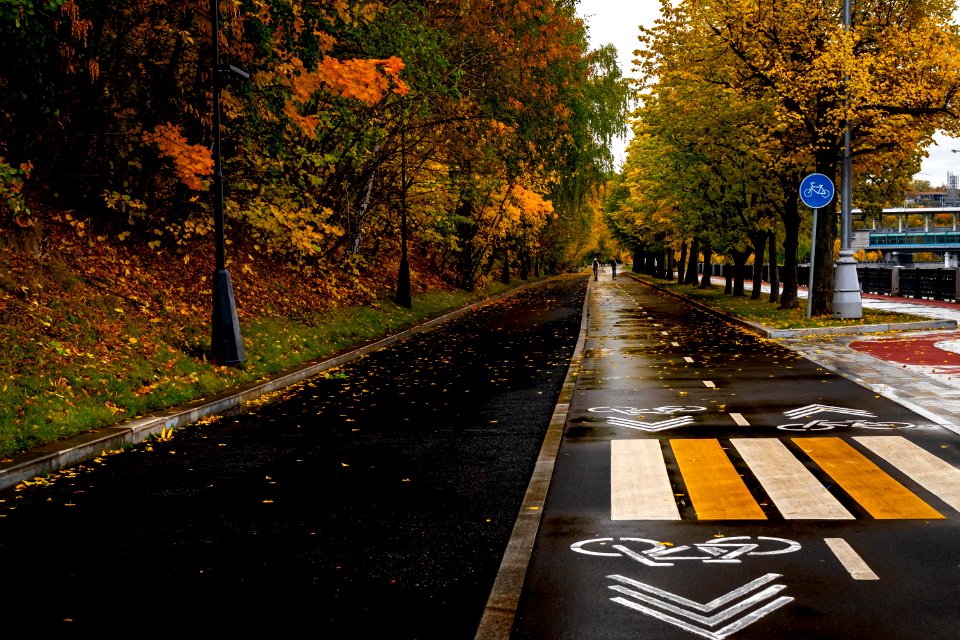 The road in the fall park. Autumn scene.