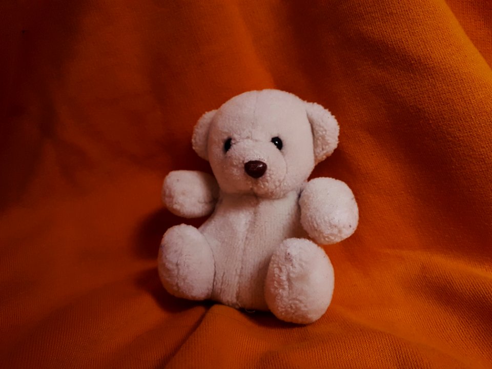 día 6: recuerdo de la infancia (color)