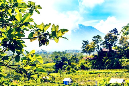 Beautiful green landscape of mount volcano Agung on Bali island. photo