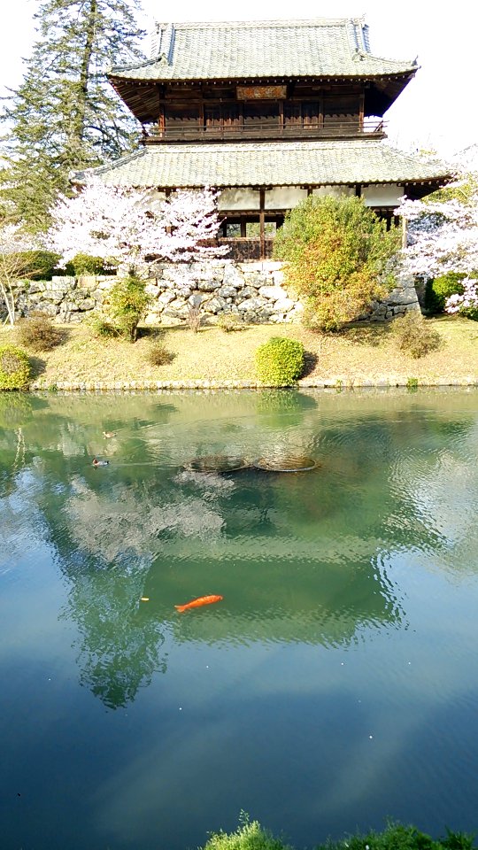 Kikko Park; Kinunkaku