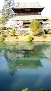 Kikko Park; Kinunkaku