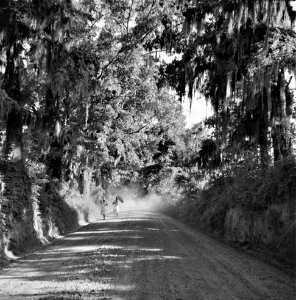 Dusty Road Blues: Outside Natchez, Mississippi August 1940.