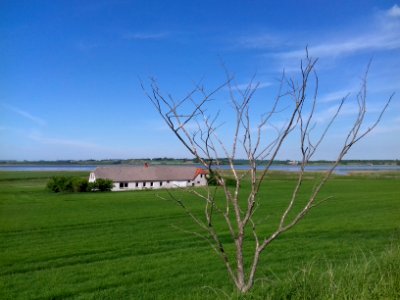 hov daas denmark  (58)