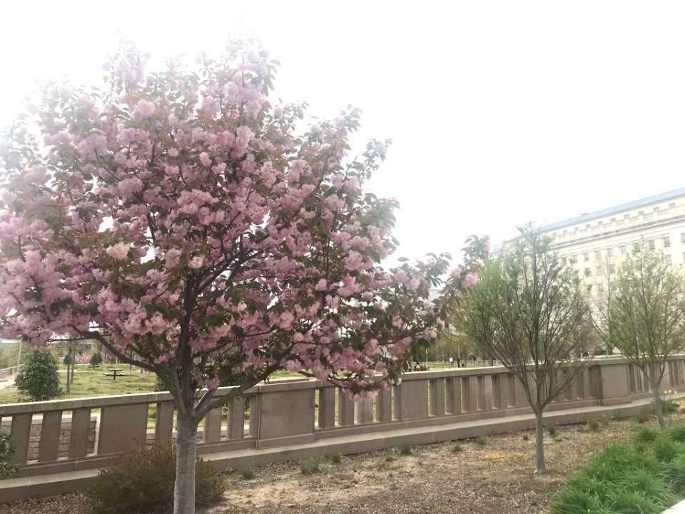 IMG 0454